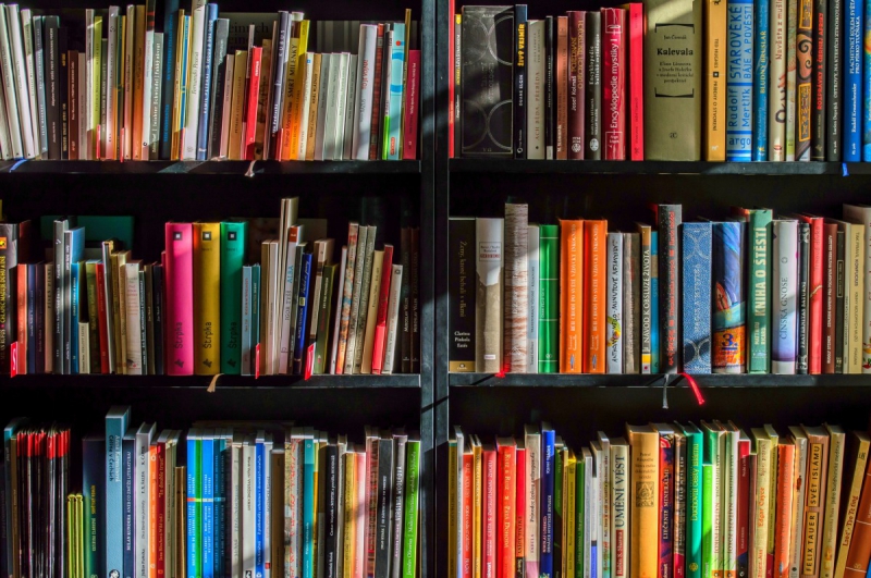 vente-RAMATUELLE-min_books_bookstore_book_reading_shop_writer_sale_books_read-822866